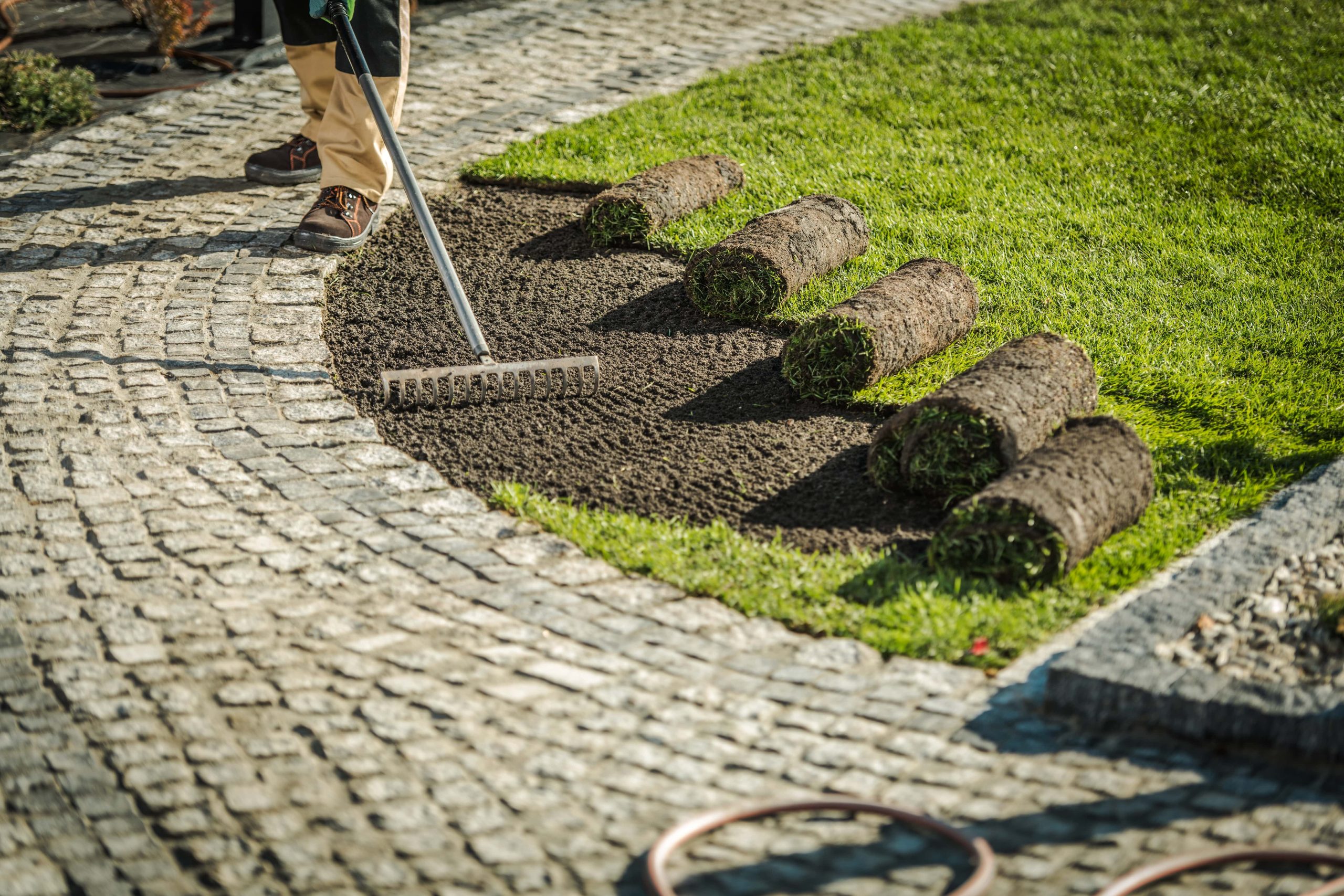 lawn installation and maintenance