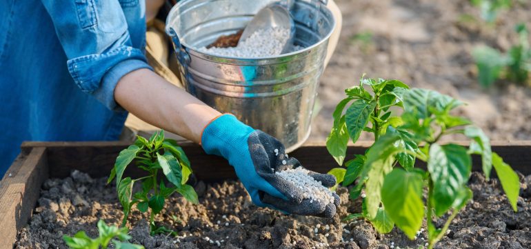 mulching and soil amendment