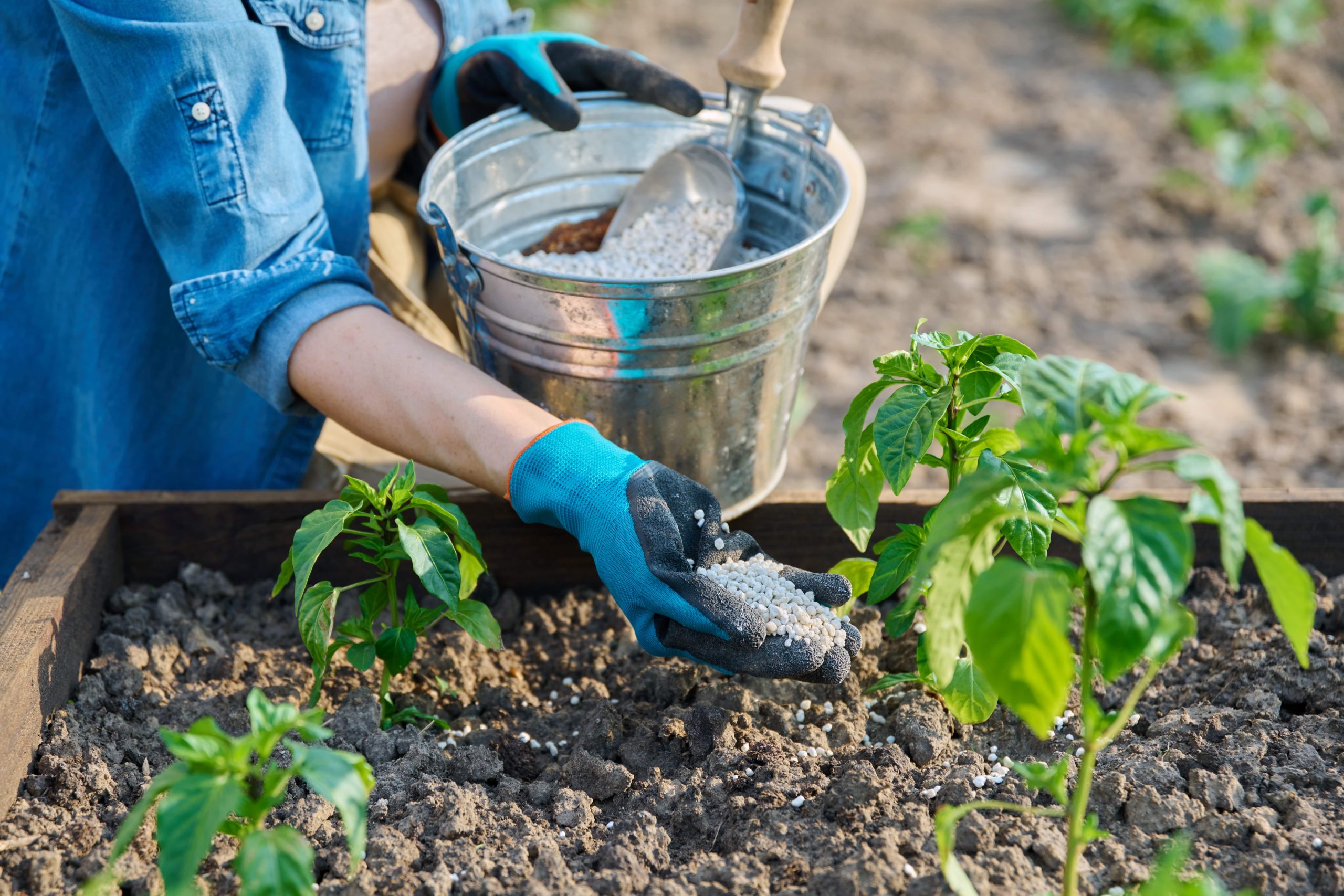 mulching and soil amendment